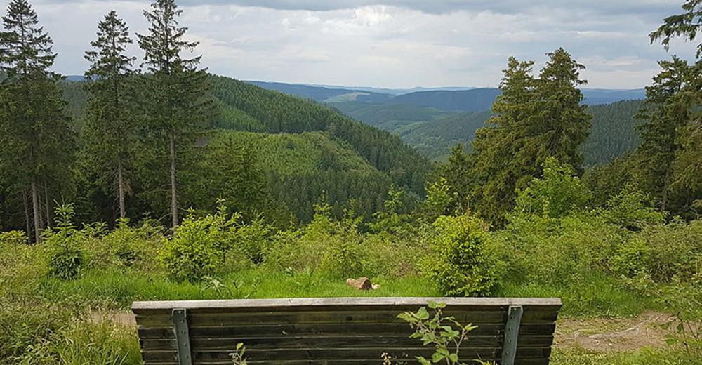 Ferienhaus Astenblick - Ideal Fuer Weihnachtsfeiern Und Familienfeiern Bietet Schlafplaetze Fuer Bis Zu 35 Personen Vila Winterberg Exterior foto